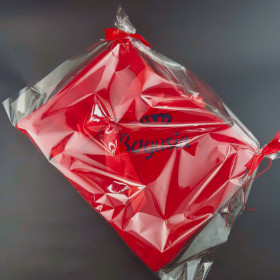 koc dla psa czerwony sweetapaszka, imię wykonane czcionką bison